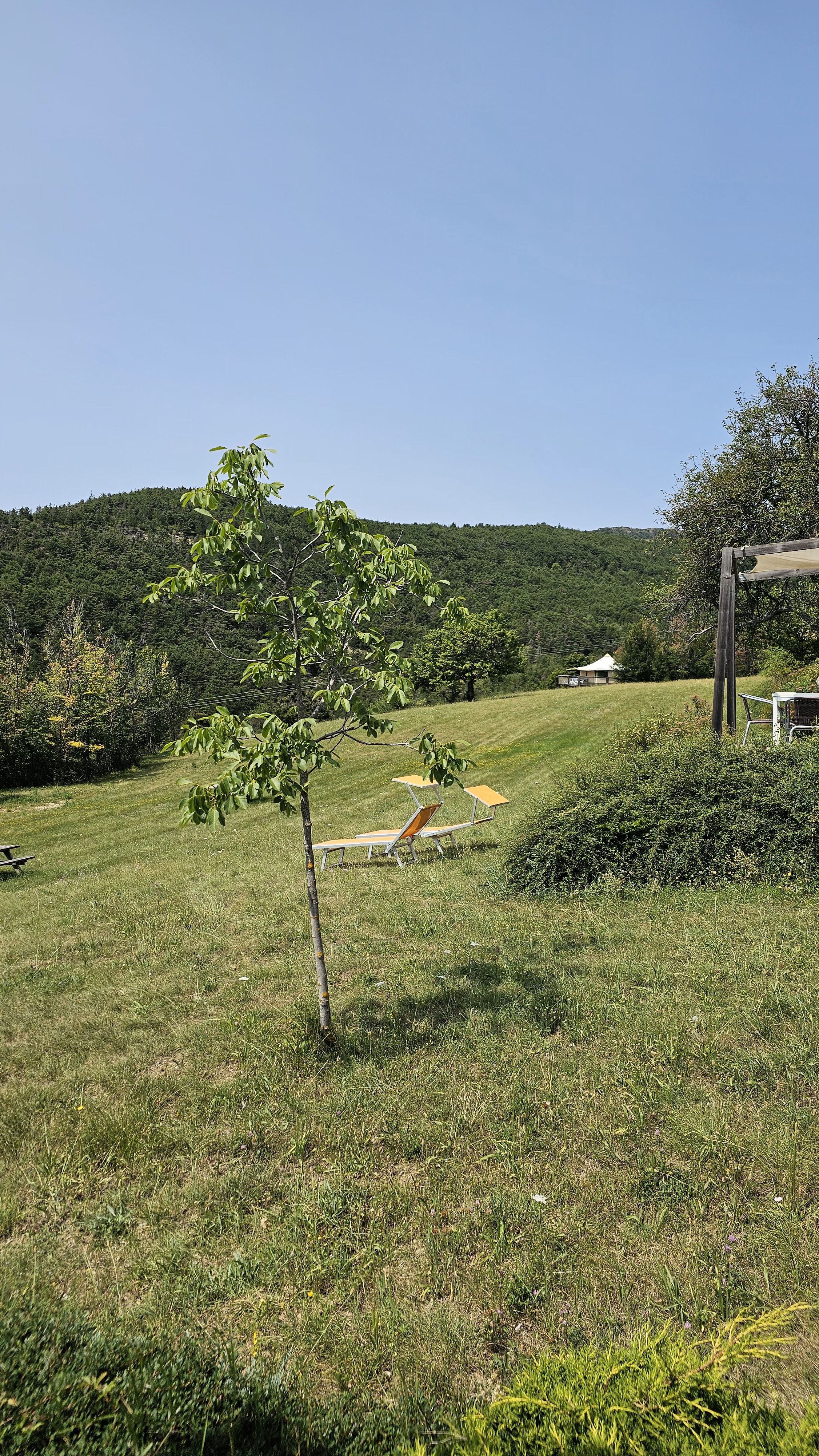 Photo n° 2 de l'avis de Mélina.o fait le 22/07/2023 à 10:44
