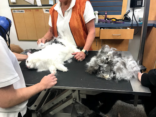 Pet Groomer «Brookline Grooming & Pet Supplies», reviews and photos, 146 Harvard St, Brookline, MA 02446, USA