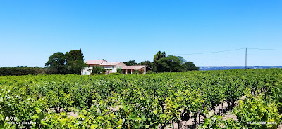 Domaine du Pesquier à Gigondas