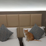 Photo n°1 de l'avis de giusy.e fait le 14/01/2024 à 07:54 sur le  Delle Nazioni Milan Hotel à Milan