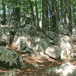 Photo n°35 de l'avis de Lidia.r fait le 18/07/2022 à 04:53 sur le  Lo Sciatore à San Massimo