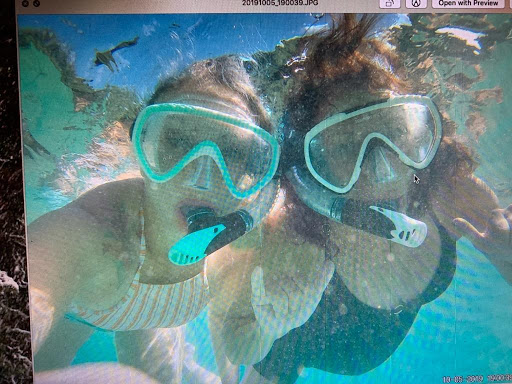 Travel Agency «Snelgrove Travel Center», reviews and photos, 145 W Gentile St, Layton, UT 84041, USA