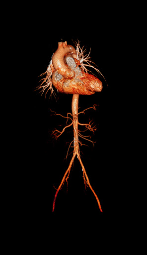 Personal Injury Attorney «dOliveira & Associates», reviews and photos