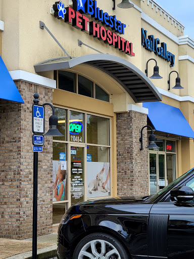 Jax Vets Affordable Animal Hospital at Baymeadows image