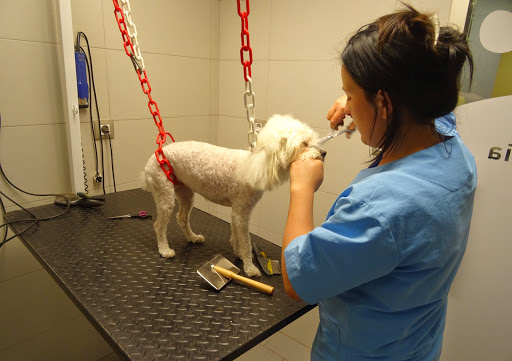Montsià Veterinaris en Amposta