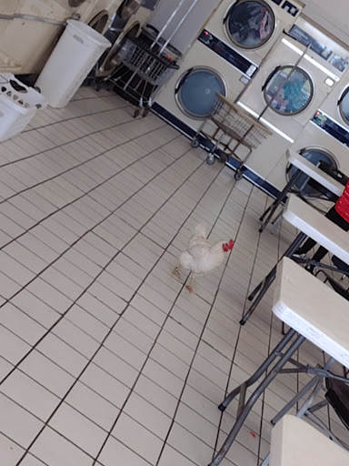 Laundromat «Laundry World», reviews and photos, 6825 Bannister Rd, Kansas City, MO 64134, USA