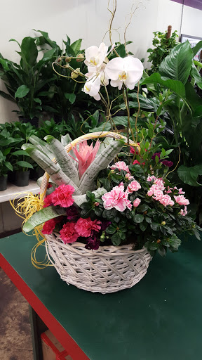 Florist «San Antonio Flower Co», reviews and photos, 7538 Broadway St, San Antonio, TX 78209, USA