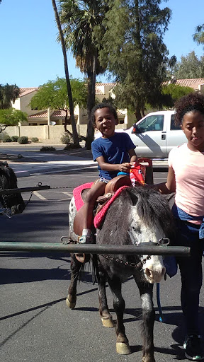 Park «Folley Memorial Park», reviews and photos, 601 E Frye Rd, Chandler, AZ 85225, USA