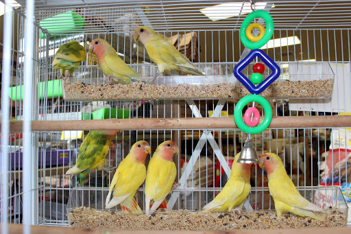 Pet Supply Store «El Granero Feed & Pet Supplies», reviews and photos, 2228 Church Ln, San Pablo, CA 94806, USA