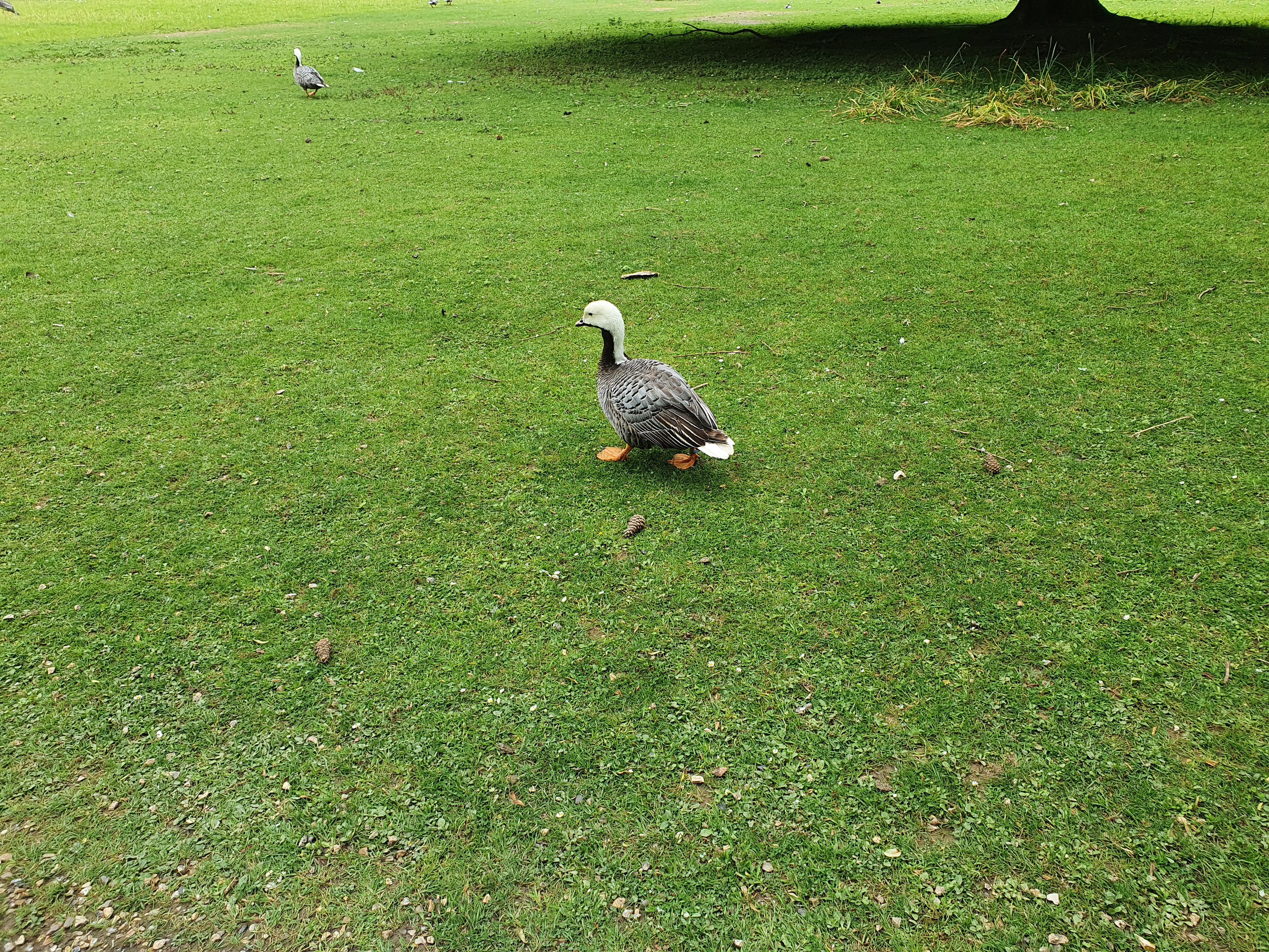 Photo n° 3 de l'avis de VIRGINIE.A fait le 10/06/2022 à 13:51