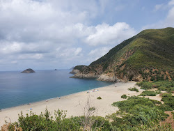 Photo de Zakkor Beach situé dans une zone naturelle