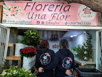 UnaFlor.cl Flores a Domicilio en La Florida