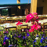 Photo n°14 de l'avis de Davide. fait le 18/08/2019 à 21:39 sur le  Farmhouse La Cantinetta à Rivergaro