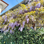 Photo n°2 de l'avis de Carla.a fait le 15/04/2024 à 17:16 sur le  Albergo Ristorante al Cavallino Bianco à Tricesimo