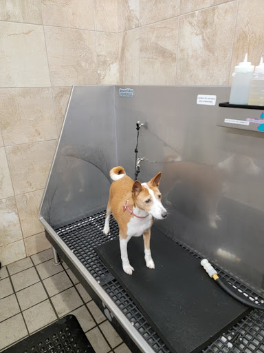 Pet Supply Store «Pet Supplies Plus», reviews and photos, 4250 N Alafaya Trail #240, Oviedo, FL 32765, USA