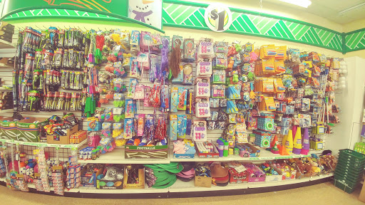 Dollar Store «Dollar Tree», reviews and photos, 150 Columbus Blvd, New Britain, CT 06051, USA