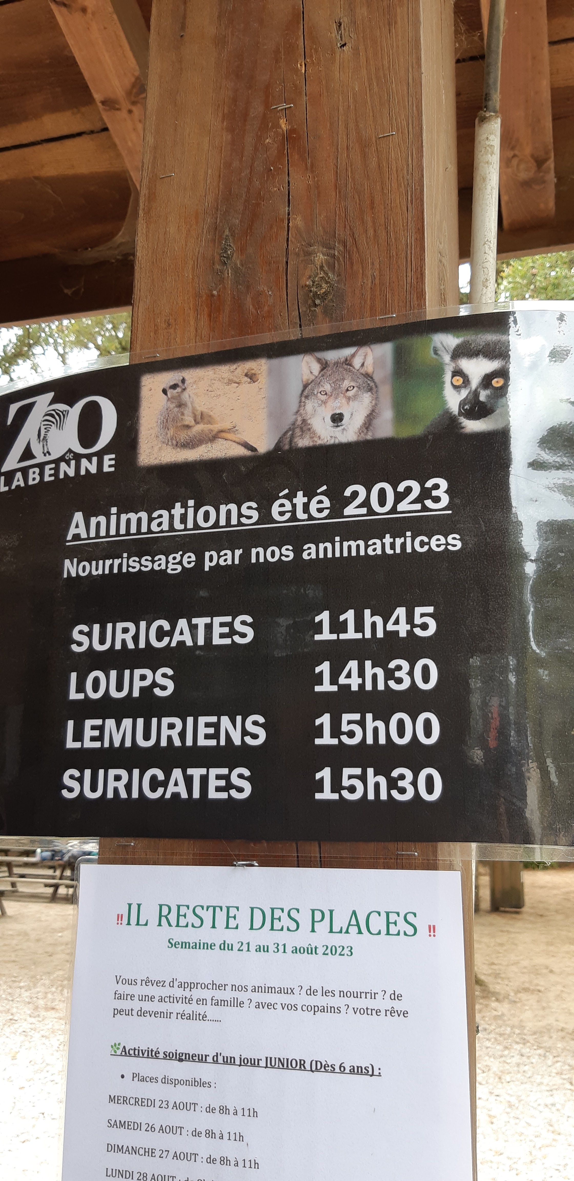Photo n° 10 de l'avis de Anais.C fait le 26/08/2023 à 15:18