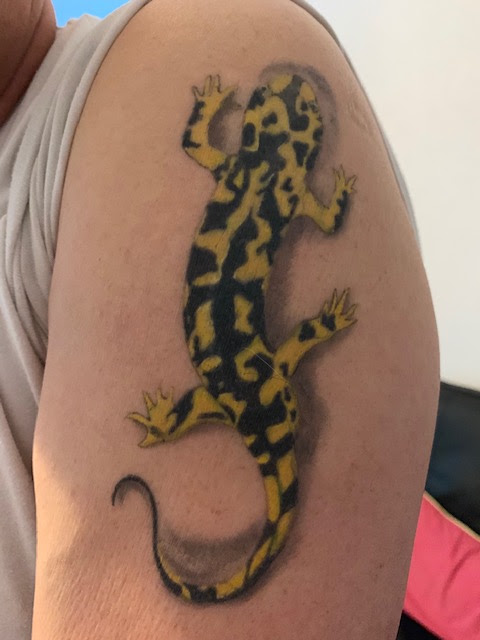 Photo n° 1 de l'avis de Gilles.o fait le 19/05/2019 à 18:00