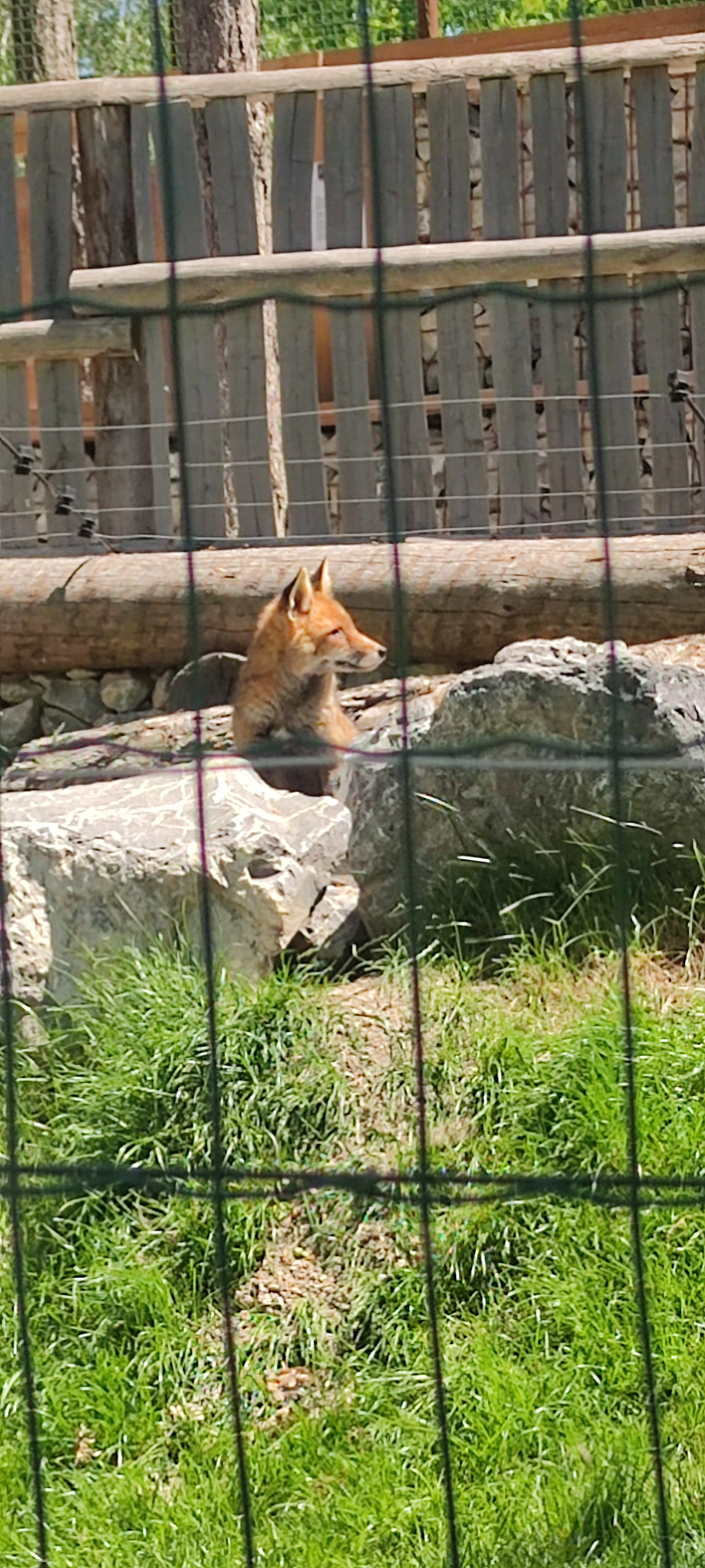 Photo n° 9 de l'avis de BERNARD.O fait le 25/06/2022 à 20:46