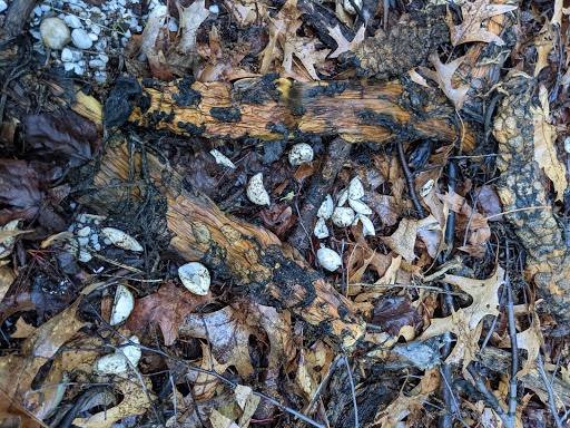 Nature Preserve «Twin Lakes Preserve», reviews and photos, Park Ave, Wantagh, NY 11793, USA