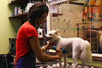 The Paw Depot - Photo 5 - Car repair in Boca Raton, FL, Coral Springs