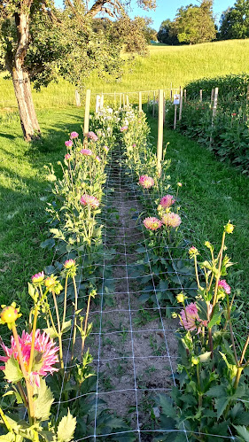 Blumen Bründler - Blumengeschäft