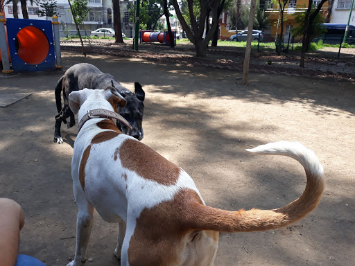 Parque para perros Chimalhuacán