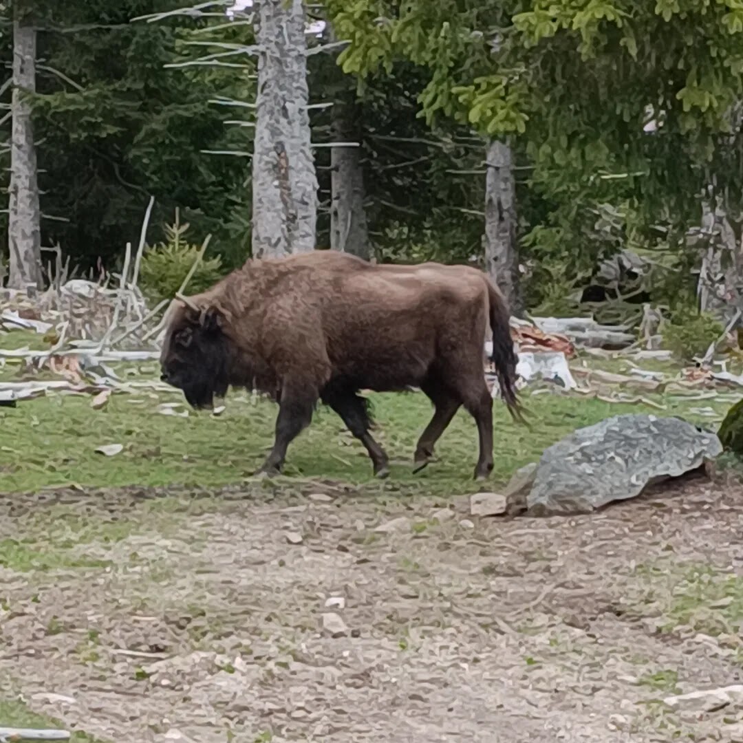 Photo n° 4 de l'avis de Melanie.o fait le 26/04/2023 à 15:56