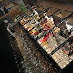 Photo n°4 de l'avis de Carlos.a fait le 16/04/2023 à 02:25 sur le  Pizzeria SUD à Lucca