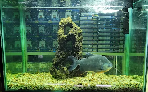 AQUARIUM image