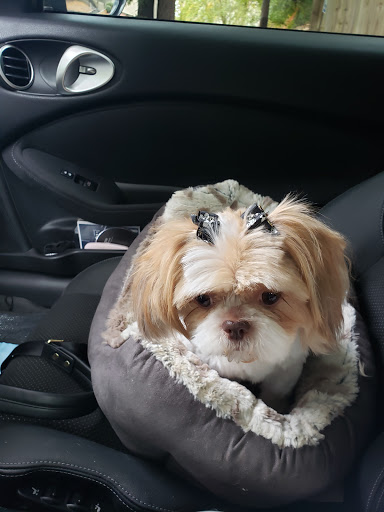 Pet Groomer «U Dirty Dog», reviews and photos, 232 Stevens Entry, Peachtree City, GA 30269, USA