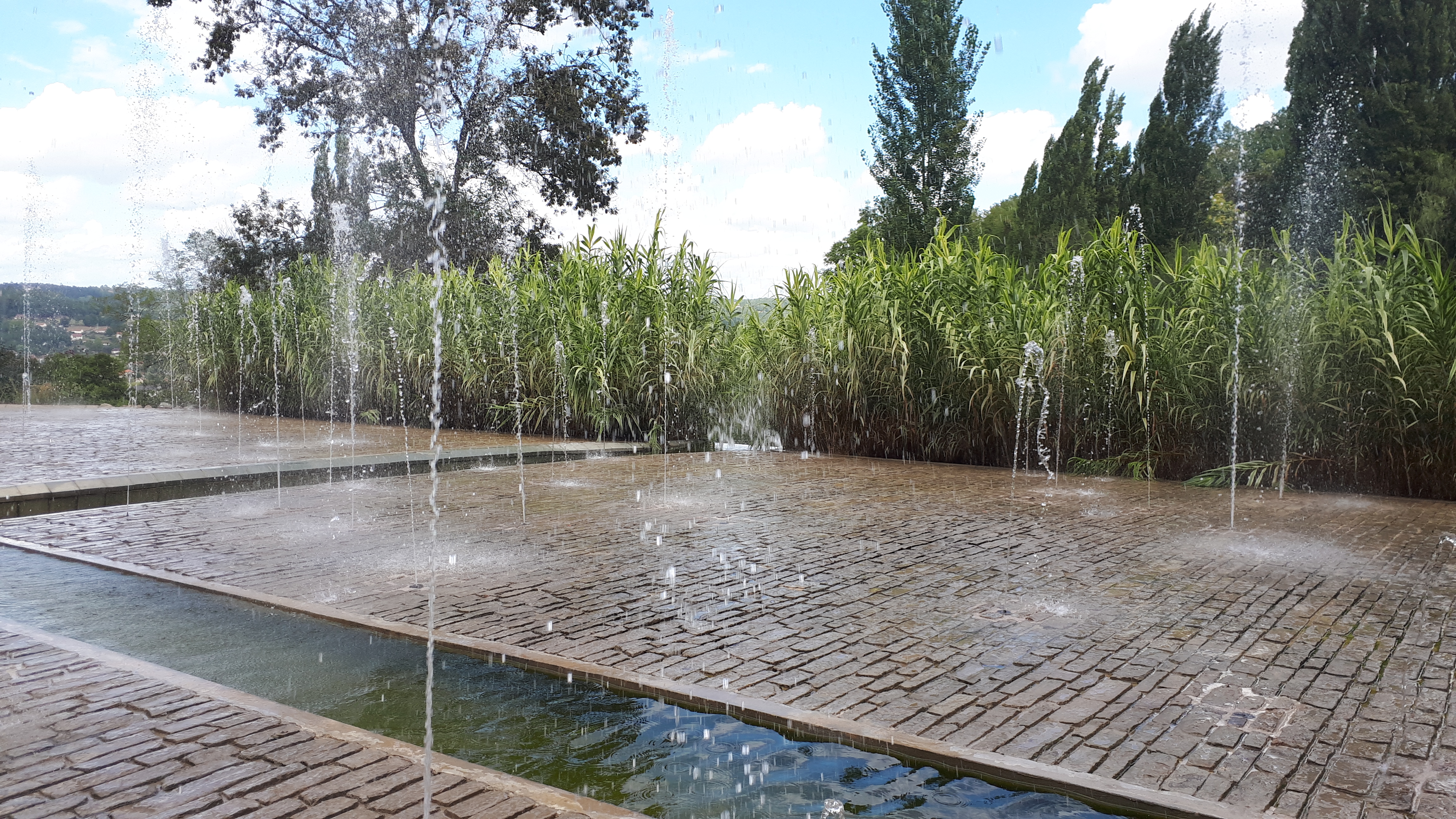 Photo n° 25 de l'avis de Cécile.i fait le 22/08/2020 à 17:28