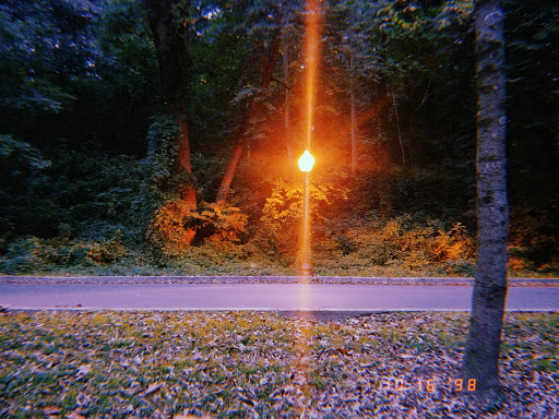 State Government Office «Wilmington State Parks», reviews and photos, 1021 W 18th St, Wilmington, DE 19802, USA