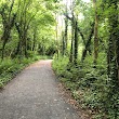 Rosshill Park Woods