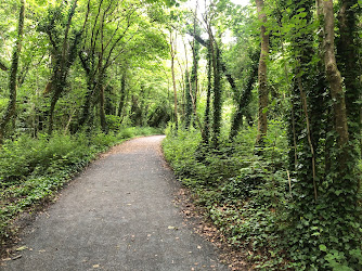 Rosshill Park Woods