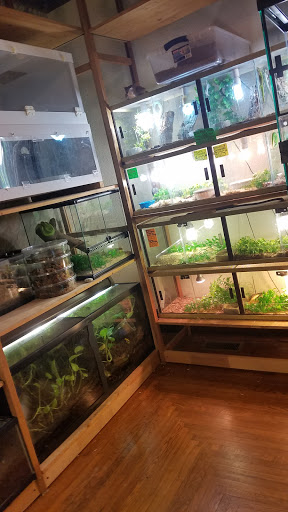 Reptile Store «Pets & Things», reviews and photos, 44825 Van Dyke, Utica, MI 48317, USA