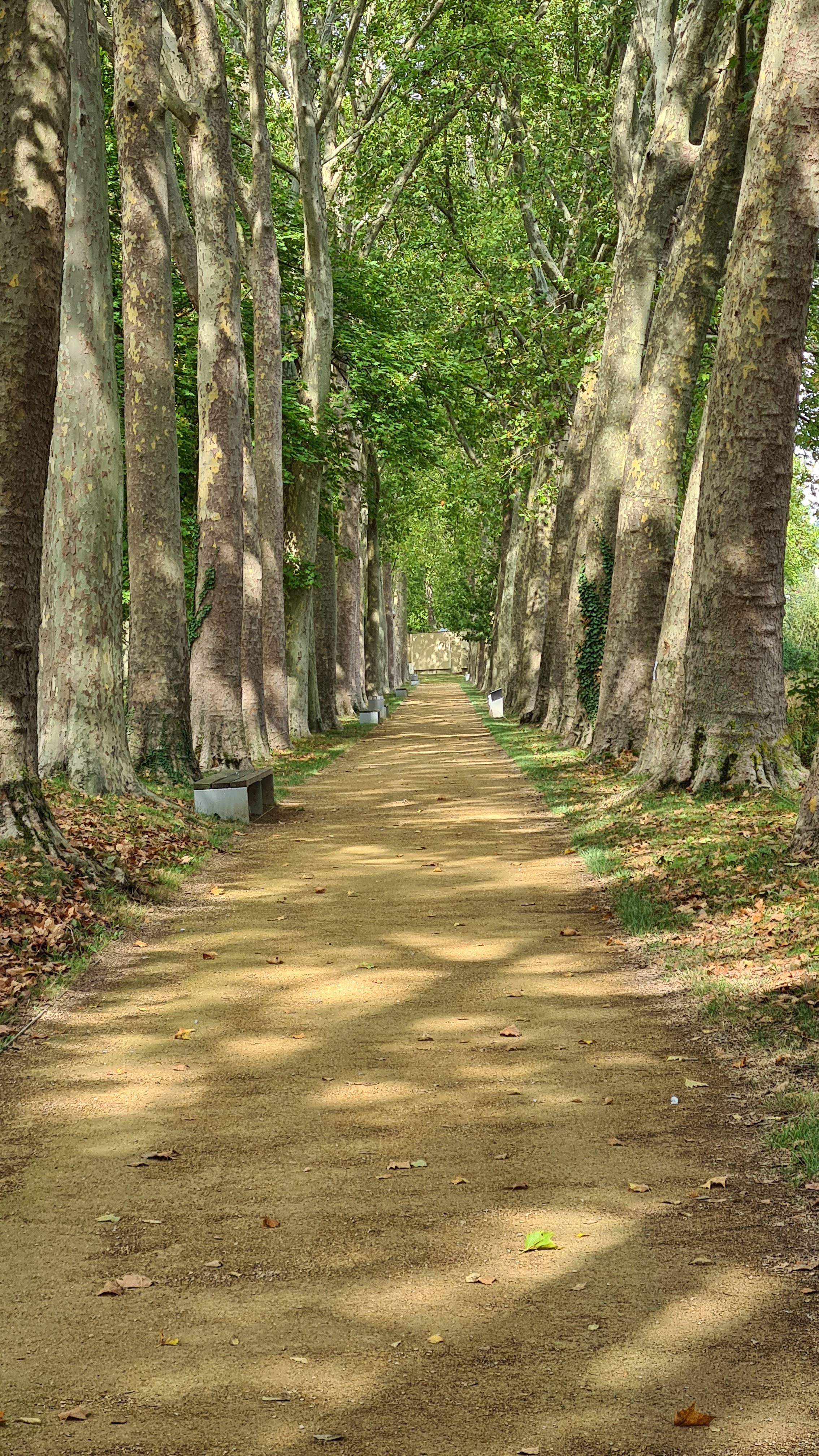 Photo n° 5 de l'avis de Pop.o fait le 24/09/2020 à 15:43