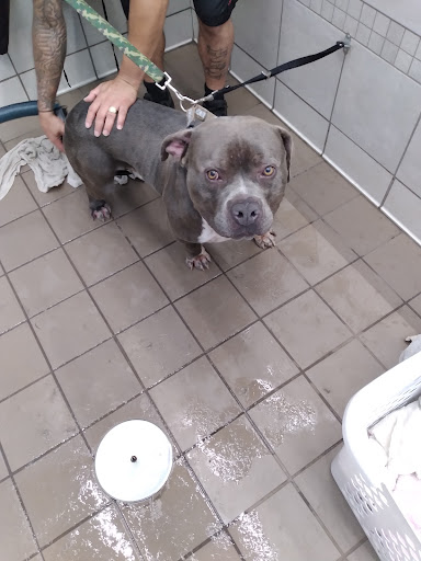 Pet Supply Store «Pet Supplies Plus», reviews and photos, 191 Alps Rd Suite 15, Athens, GA 30606, USA