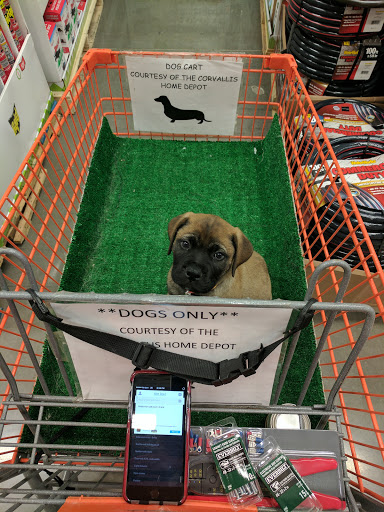 Home Improvement Store «The Home Depot», reviews and photos, 1780 NE Four Acre Pl, Corvallis, OR 97330, USA