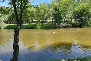 Predio Festival del Balneario image