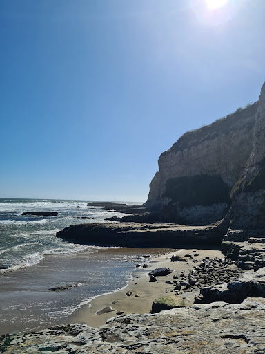 Public Beach «Four Mile Beach», reviews and photos, 3810 Coast Rd, Santa Cruz, CA 95060, USA