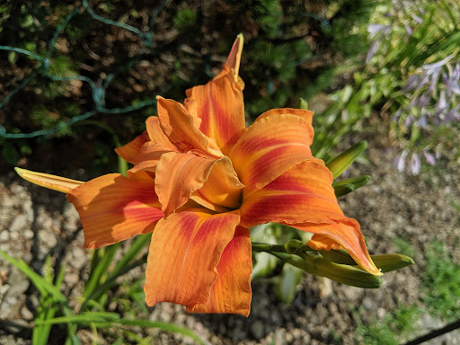 Golf Course «Deer Creek Golf Course», reviews and photos, 7691 E Liberty St, Hubbard, OH 44425, USA