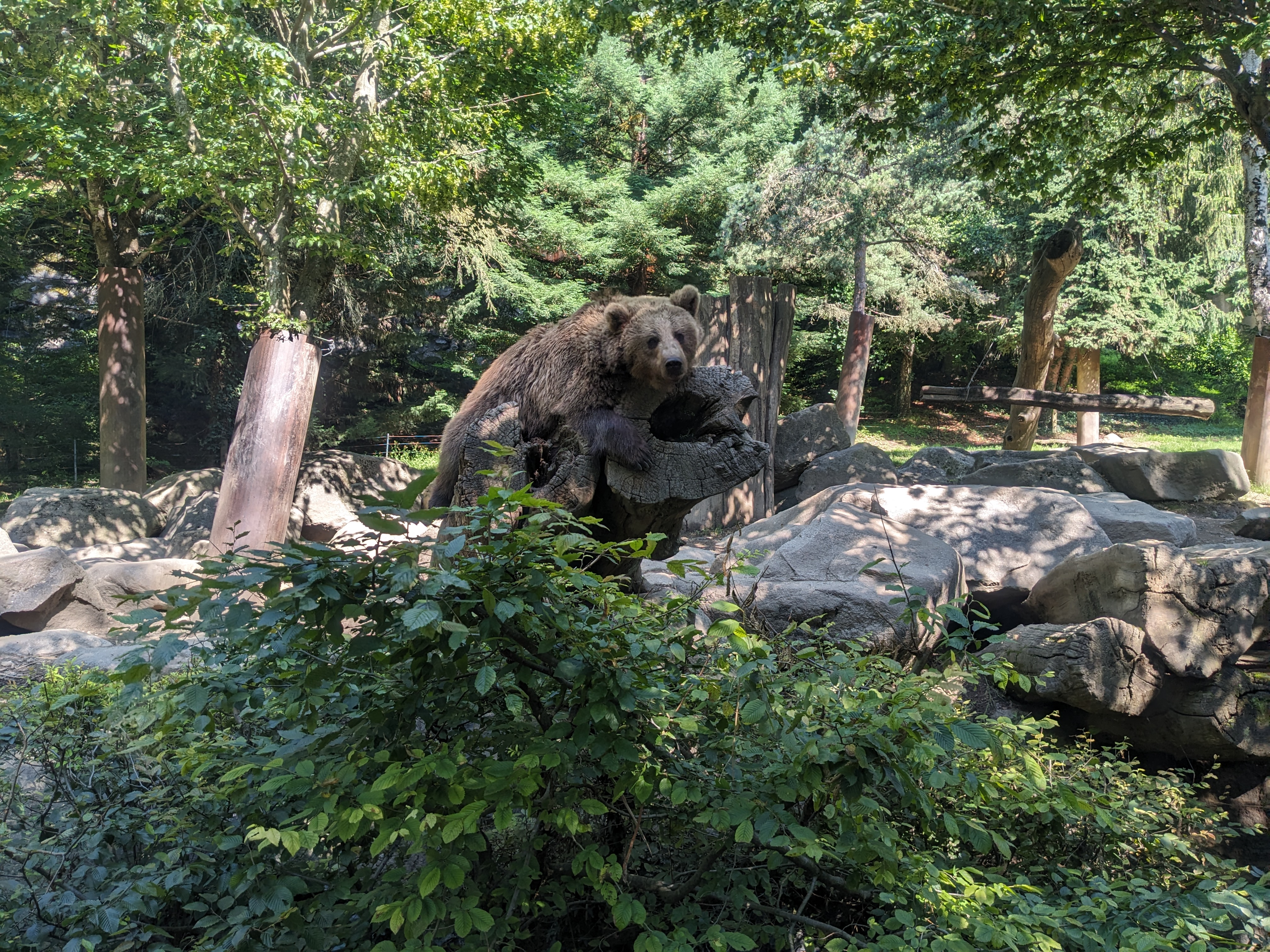 Photo n° 2 de l'avis de mathilde.a fait le 16/07/2023 à 19:21