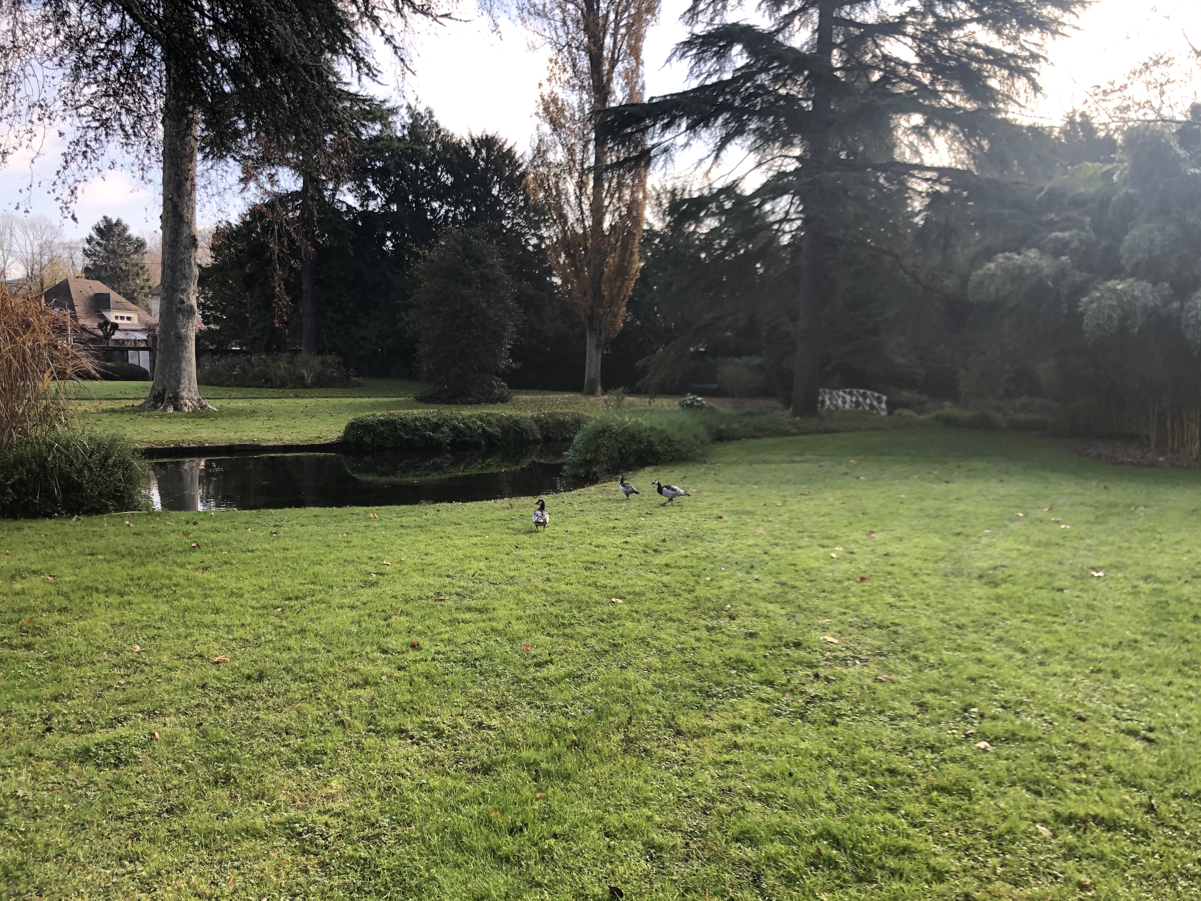 Photo n° 1 de l'avis de Laurent. fait le 19/01/2021 à 06:41