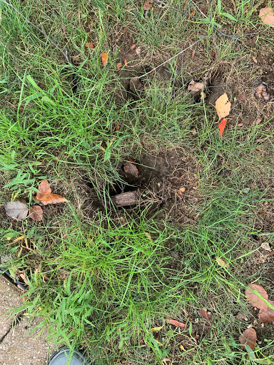 Plumber «Roto-Rooter», reviews and photos, 12898 Westmore St, Livonia, MI 48150, USA