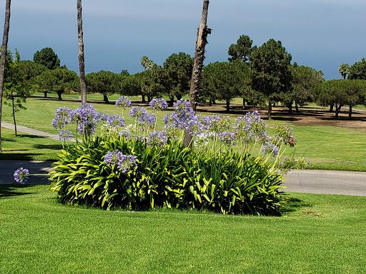 Golf Course «Los Verdes Golf Course», reviews and photos, 7000 Los Verdes Dr, Rancho Palos Verdes, CA 90275, USA