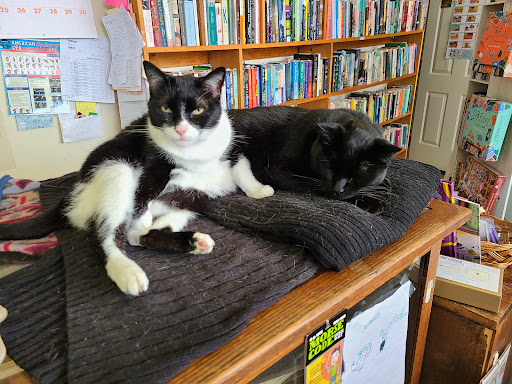 Book Store «From My Shelf Books & Gifts», reviews and photos, 7 East Ave #101, Wellsboro, PA 16901, USA