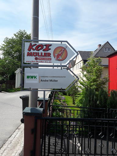 Koi-Müller-Erzgebirge unter Crottendorf, 