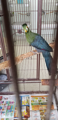 Pet Store «Adventure Birds of Bon Aqua», reviews and photos, 9600 TN-46, Bon Aqua, TN 37025, USA