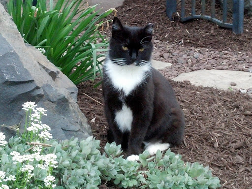 1760 Easton Ave # 6, Somerset, NJ 08873, USA